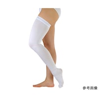 �A���V���N�v���i�@�P�V�T�W�R�@�l�@�P��