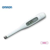 �d�q�̉��v�@�����@�l�b�|�P�V�O