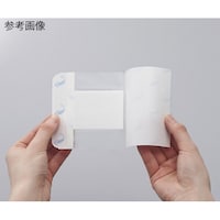 �D���p�[�~�p�b�h�i�p�b�h�t�t�B�����h���b�V���O�j�@�P�O�O�~�Q�P�O�����@�P���i�Q�O�����j�@�P�U�Q�P