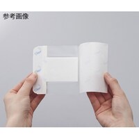 �D���p�[�~�p�b�h�i�p�b�h�t�t�B�����h���b�V���O�j�@�P�O�O�~�Q�T�O�����@�P���i�Q�O�����j�@�P�U�Q�T