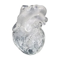 �b�����������l���������d�u�i���l����