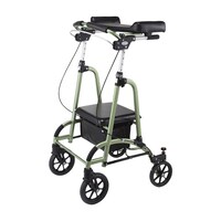 �O�r�x����^���s�ԁ@�t�����h�Q