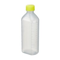 ����r�o�o�a�i�ŋۍρj�����