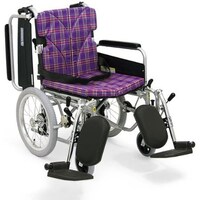 �Ԃ����i��p�E�A���~���j�w�܂ꎮ