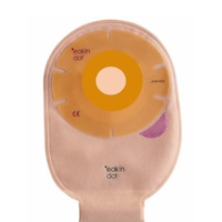 �C�[�L���h�b�g�h���i�u���t���b�g