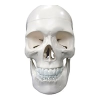 ���W���@������@�����͌^