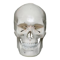 ���W���@�ڍ׉�����f��