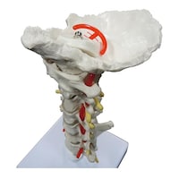 ��Ŗ͌^�@�ō������E�Ґ��t�����f��