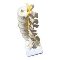 ������@���ŁE�卜�E�Ґ��_�o���f��