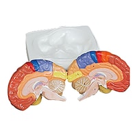 �]������@�̈����͌^