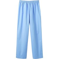 ��p�����i���f�B�X�E�p���c�j