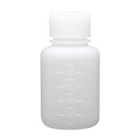 �i�j�{�g���i�׌��j��