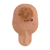 �C�[�L���p�E�`�����p�t���b�g�@�E��