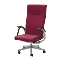 �h�N�^�[�`�F�A�i�t���t���b�g�^�C�v�j