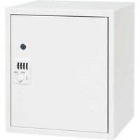 �o���A�X�E�V�X�g�ɓ��p����Ɍ^