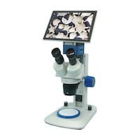 �f�W�^���O����̌�����