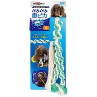 ���݂��ݎ��s�J�@�����ݗV�уR�b�g�����[�v�@�r