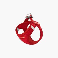 ���b�V���t�B�b�g�n�[�l�X�@���b�h�@�l