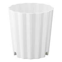 �E�F�[�u�|�b�g�X���@�z���C�g�@�v�o�|�X