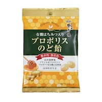 �đ���@�L�@�͂��݂���v���|���X�̂ǈ��U�O���~�U