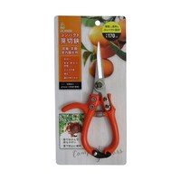 �R���p�N�g�����