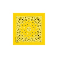 �o���_�i�@�b�o�|�U�Q�@�������C�G���[�@�j�x�U�O�O�O�b�o�U�Q