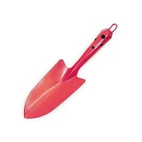 �J���[�����ڐA�S�e�@�s���N�@�S�@���T�O�O�|�o