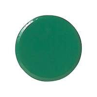 �����̓J���[�}�O�l�b�g�@���P�W�����~�X��