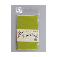 ����ǂ�a��ʂ����@�P�O�O�����@���ΐF�@���P�X�P�S