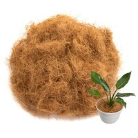 �R�R���V�t�@�C�o�[�@�R�O�O���@�U�Q�S�|�O�R