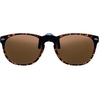 �O���[���O���X�N���b�v�T���O���X�@�f�q�|