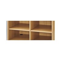 �y�I�v�V�����z���W�J�E���^�[�@����^�C�v��p�ǉ��I�@���S�T�����@�G�N�����@�U�P�|�W�Q�X�|�X�U�|�P