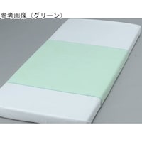 �T���b�L�[�V�[�c�@�O���[���@�Q�Q�Q�Q