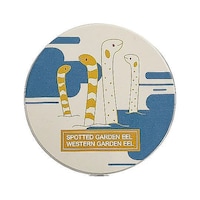 �R�[�X�^�[�@�X�����@�z���@�C�̂������́@