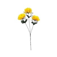 ���ԁ@�T���c�L�L�N�@��@�C�G���[