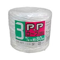 �o�o���[�v�@�b�q�O�Q�P