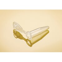 �Z�C�t�@�|�@���b�N�`���[�u�@�O�D�T���k�@�a�����a���������@�o�b�q�@�����������@�T�O�O�{���@�O�O�R�O�P�Q�R�O�U�X