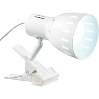 �d�Q�U�N���b�v���C�g�@�z���C�g�@�b�k�w�U�O�w�O�R�v�g