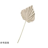 �O���W�����[�~�j�p�[�����ԃX�v���[�U�P�����@�I���[�u�x�[�W���@�T�T�|�P�V�|�U�|�P