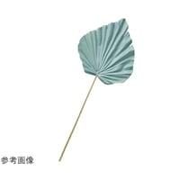 �O���W�����[�~�j�p�[�����ԃX�v���[�U�P�����@�u���[�O���[���@�T�T�|�P�V�|�U�|�Q