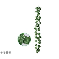 �����X�e���K�[�����h�i�t�F�C�N�O���[���@