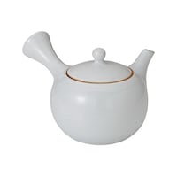 �J���[�ی^�}�{