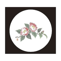 �a���R�[�X�^�[�@�ۂv�b�n�|�l�X�m�@�ց@�P���i�T�O�����j�@�o�j�b�x�S�O�P