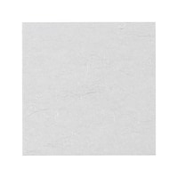 ���ԍR�ۘa���@�a���_�����~���i�S���j�v�j�|�S�m�@�P���i�Q�T�O�����j�@�p�j�h�p�X�O�P