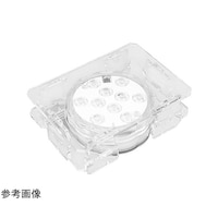 �t�B�M���A�X�e�[�W�@���C�g�A�b�v�x�[�X�@