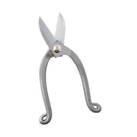 �؂���낱�с@�Ԃ΂��݁i�ؓ����j�؉ԁE���ؗp