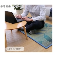 �~���@���O�E�J�[�y�b�g�E��@�w�O���[�X�x�@�O���[���@��W�Q�~�P�U�S�����@�P�O�S�O�O�Q�O�P�Q�O�R�P�R�@