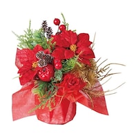 �|�C���Z�`�A���ԁ@�x���[���b�v�@�����Q�O�����@�T�W�|�T�R�|�T�|�P