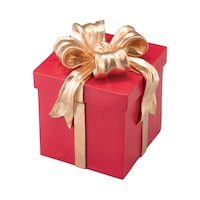 �N���X�}�X�{�b�N�X���`�[�t�@���b�h�@�T�W�|�P�O�R�|�X�|�P