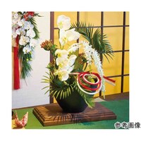 ��������A�����W�@�����@�����T�O�����@�T